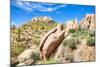 Sonoran Desert-Anton Foltin-Mounted Photographic Print