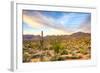 Sonoran Desert-Anton Foltin-Framed Photographic Print