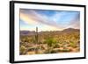 Sonoran Desert-Anton Foltin-Framed Photographic Print