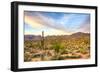 Sonoran Desert-Anton Foltin-Framed Photographic Print