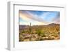 Sonoran Desert-Anton Foltin-Framed Photographic Print