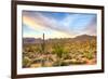 Sonoran Desert-Anton Foltin-Framed Photographic Print