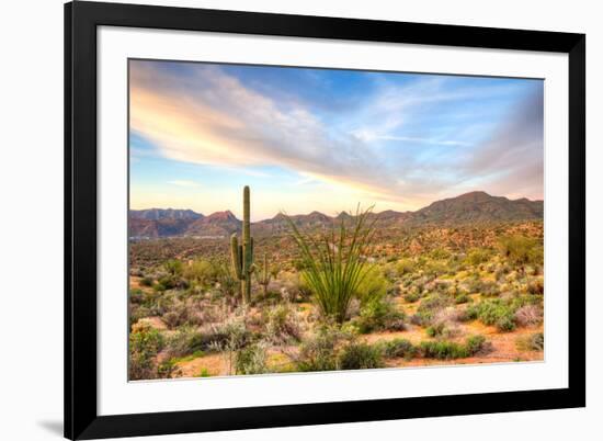 Sonoran Desert-Anton Foltin-Framed Photographic Print