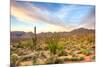 Sonoran Desert-Anton Foltin-Mounted Photographic Print