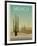 Sonoran Desert-Frk. Blaa-Framed Art Print