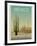 Sonoran Desert-Frk. Blaa-Framed Art Print