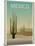 Sonoran Desert-Frk. Blaa-Mounted Art Print