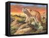 Sonoran King-Trevor V. Swanson-Framed Stretched Canvas