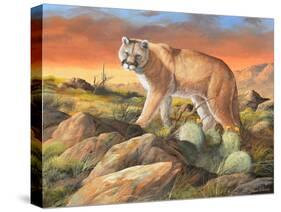 Sonoran King-Trevor V. Swanson-Stretched Canvas