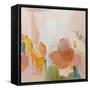 Sonoran Summer-Pamela Munger-Framed Stretched Canvas