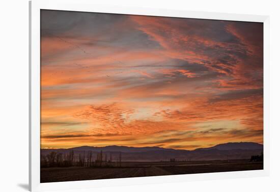 Sonoran Sunset-Aaron Matheson-Framed Photographic Print