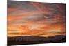 Sonoran Sunset-Aaron Matheson-Mounted Photographic Print