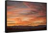 Sonoran Sunset-Aaron Matheson-Framed Stretched Canvas