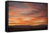 Sonoran Sunset-Aaron Matheson-Framed Stretched Canvas