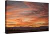 Sonoran Sunset-Aaron Matheson-Stretched Canvas