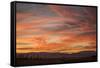 Sonoran Sunset-Aaron Matheson-Framed Stretched Canvas