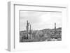 Sonoran Wonderland BW-Nathan Larson-Framed Photographic Print