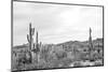 Sonoran Wonderland BW-Nathan Larson-Mounted Photographic Print