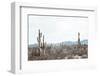 Sonoran Wonderland-Nathan Larson-Framed Photographic Print