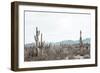 Sonoran Wonderland-Nathan Larson-Framed Photographic Print