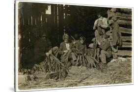 Sons of J.H. Burch Aged 12-Lewis Wickes Hine-Stretched Canvas