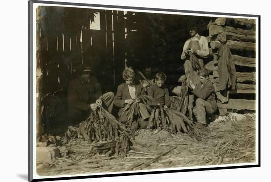 Sons of J.H. Burch Aged 12-Lewis Wickes Hine-Mounted Photographic Print