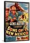Sons of New Mexico-null-Framed Poster