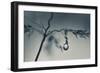 Soon-Heidi Westum-Framed Photographic Print