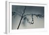 Soon-Heidi Westum-Framed Photographic Print