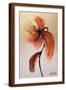 Brown Frame