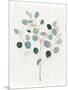 Soothing Botanical I-Aria K-Mounted Art Print