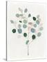 Soothing Botanical I-Aria K-Stretched Canvas