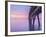 Soothing Sunrise-Chris Moyer-Framed Photographic Print