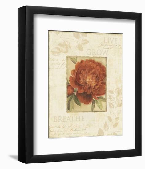 Soothing Words II-Lisa Audit-Framed Art Print