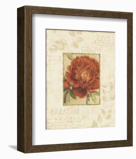 Soothing Words II-Lisa Audit-Framed Art Print