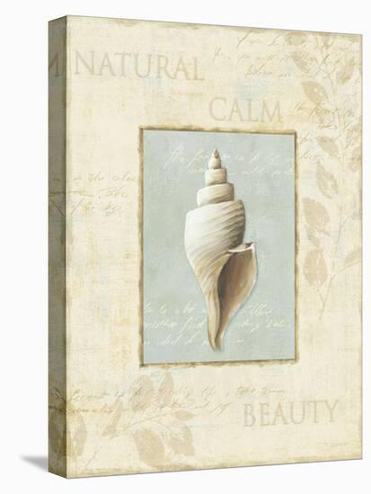 Soothing Words Shells I-Lisa Audit-Stretched Canvas