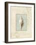 Soothing Words Shells I-Lisa Audit-Framed Giclee Print