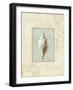 Soothing Words Shells I-Lisa Audit-Framed Giclee Print