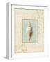 Soothing Words Shells I-Lisa Audit-Framed Giclee Print