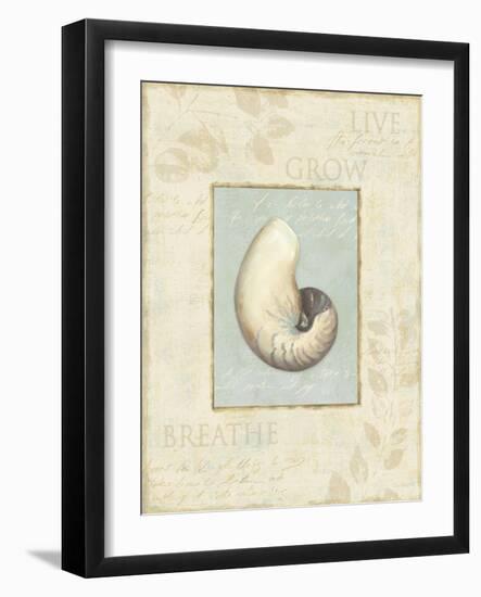 Soothing Words Shells II-Lisa Audit-Framed Giclee Print