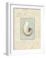 Soothing Words Shells II-Lisa Audit-Framed Giclee Print