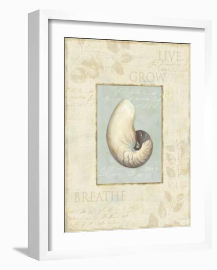 Soothing Words Shells II-Lisa Audit-Framed Giclee Print