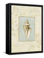 Soothing Words Shells III-Lisa Audit-Framed Stretched Canvas