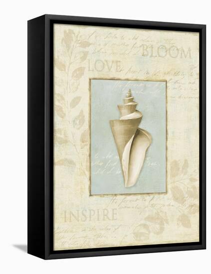 Soothing Words Shells III-Lisa Audit-Framed Stretched Canvas