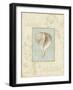 Soothing Words Shells IV-Lisa Audit-Framed Giclee Print