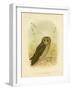 Sooty Owl, 1891-Gracius Broinowski-Framed Giclee Print