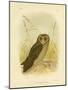 Sooty Owl, 1891-Gracius Broinowski-Mounted Giclee Print