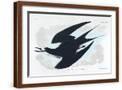 Brown Frame