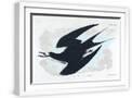 White Frame