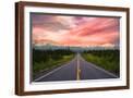 Brown Frame
